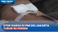 Sepekan Ramadhan, Jumlah Pendonor Darah di PMI DKI Jakarta Turun 50 Persen