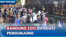 Libur Lebaran, Ribuan Pengunjung Padati Bandung Zoo