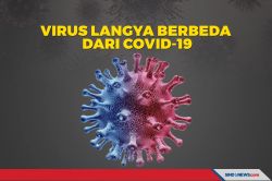 Ilmuwan: Virus Langya yang Melanda Berbeda dari Virus Covid-19