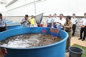 KKP Berikan Stimulus Bagi Pembudidya Ikan
