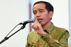 Presiden Jokowi Dorong Penggunaan Produk Dalam Negeri