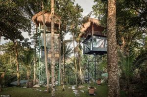 Hotel di Atas Pohon yang Eksotis Ini Ada di Ubud Bali