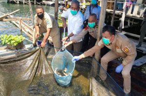 Pembkab Jayapura Akan Salurkan Bantuan Produksi bagi Peternak Ikan