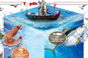 Aturan Ekspor Lobster Diingatkan KPPU dan DPR Harus Transparan