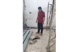 Lagi, Teror Bom Molotov Menimpa Kantor PAC PDIP Kabupaten Bogor