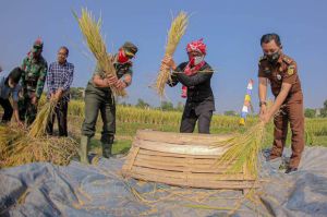 Lahan Pertanian Kota Bogor Tersisa 131 Hektare, Bima Arya: Jaga ‘Surga’ yang Tersisa