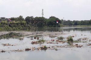 DLH Tangsel: Limbah Kawasan Taman Tekno Serpong Cemari Cisadane
