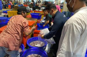 Dinas KPKP Awasi Hasil Perikanan di Pasar Ikan Modern Muara Baru
