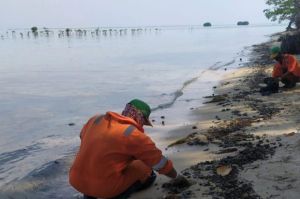 Tumpahan Minyak Mulai Rusak Biota Laut di Kepulauan Seribu