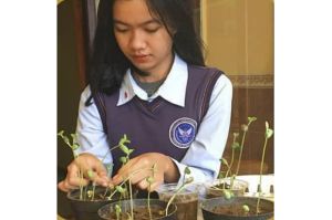 Wujudkan Green School, SMA Pradita Dirgantara Kembangkan  Bank Kedelai