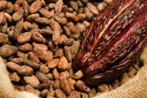 Diadang Pandemi, Ekspor Produk Kakao Kian Terasa Lezat