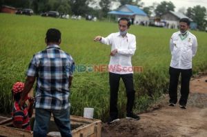 Gara-gara Food Estate, Kinerja Mentan SYL Dipuji Jokowi