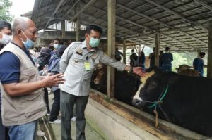 Pacu Kinerja Pertanian di Sukabumi, Mentan SYL Perkuat Hulu hingga Hilir