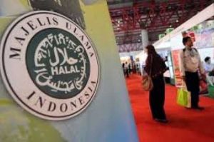 Tertinggal dari Negeri Jiran, RI Ranking 5 Produsen Produk Halal