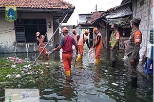 Banjir Rob Rendam Ratusan Rumah di Tegal Alur, Aktivitas Warga Lumpuh