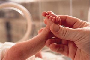 Orang Tua Harus Mengerti Cara Tangani Bayi yag Lahir Prematur