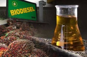 Dukung Energi Hijau, Produsen Biodiesel Terus Tingkatkan Kapasitas Produksi