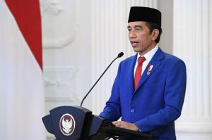 Tingkatkan Akses Pembiayaan, Jokowi Minta TPAKD Agresif Dorong Literasi Keuangan