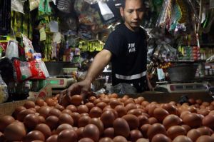 Harga Telur Naik, Sumbang Inflasi Minggu Kedua Desember