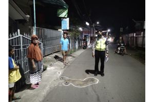 Menyeberang Jalan, Bocah 4 Tahun Tewas Ditabrak Pikap di Ciputat