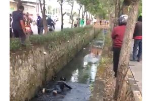 Viral! Video Perampok Masuk Got Dilempari Batu oleh Warga di Tangerang