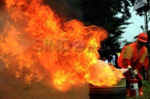 7 Unit Damkar Dikerahkan untuk Atasi Kebakaran di Tambora