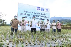 IPB University Temukan Teknologi yang Bisa Tingkatkan Produksi Bawang Putih
