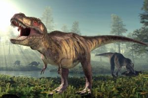 Fosil di Kanada Ungkap Bayi Tyrannosaurus hanya Seukuran Anjing Dewasa