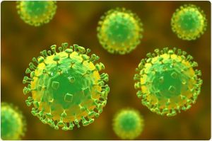 Virus Nipah Disebut Akan Menjadi Epidemi Baru, Ini Penjelasan Epidemolog!