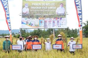 Demi Kesejahteraan Petani, Pupuk Kaltim Siap Perluas Agro Solution