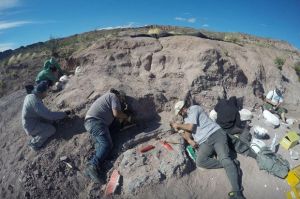 Arkeolog Argentina Temukan Fosil Dinosaurus yang Hidup 140 Juta Tahun Lalu