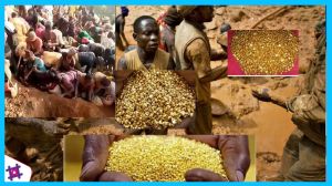 Kandungan Emas di Gunung Kongo Capai 90% Mineral Berharga di Dunia