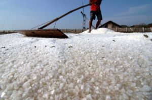 Pengusaha Mamin: Nilai Impor Garam Kecil, Tapi Menghasilkan Nilai Ekspor Besar