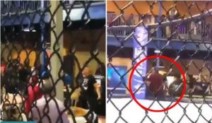MMA Gempar! Pria Bersenjata Umbar Tembakan saat Tawuran Penonton MMA