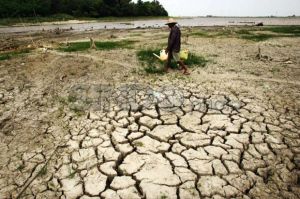 Hadapi Perubahan Iklim, Sri Mulyani Guyur Dana Khusus untuk Daerah