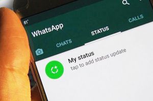 Tips Agar Status WhatsApp Tidak Bisa Dilihat Orang yang Tidak Diinginkan