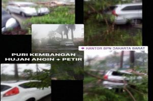 Hujan Angin, Sejumlah Pohon di Jakarta Bertumbangan