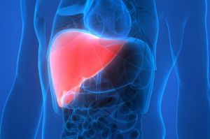 Kenali Jenis Penyakit Liver yang Menular, Cegah dengan Mosehat