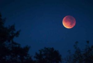 Gerhana Bulan Total akan Terjadi 26 Mei, Kapan Waktu yang Tepat Melihatnya?