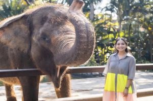Ngidam Ketemu Gajah, Nagita Slavina Sumringah saat Kunjungi Bali Zoo