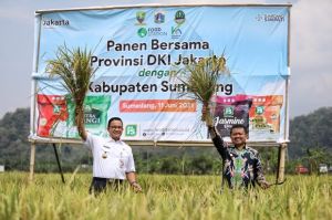 Anies Panen Raya Bersama Bupati Sumedang: Terima Kasih Para Petani Sudah Bantu  Warga Jakarta