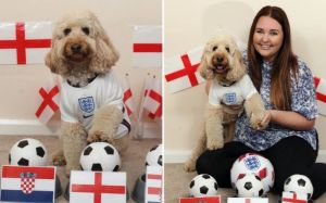 Piala Eropa 2020: Anjing Ajaib Willow Ramal Inggris Bekuk Kroasia