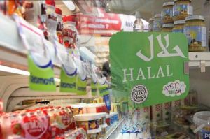 RI Punya Modal Mumpuni Buat Memperkuat Industri Halal