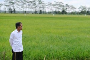 Jokowi Minta Persyaratan KUR untuk Sektor Pertanian Dipermudah