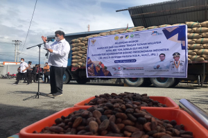 Kunjungi Sulawesi Tengah, Menko Airlangga Lepas Ekspor Kakao Biji Sebagai Komoditas Andalan Provinsi