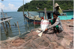 Daya Beli Nelayan di Jawa Timur Selama Agustus Naik 1,33 Persen