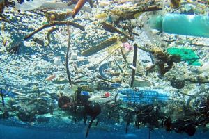 Perangi Sampah Plastik, Nestle Lakukan Riset Kemasan Ramah Lingkungan