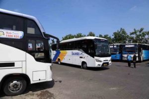 Naik Bus DAMRI dari Bogor ke Bandara Soetta Cuma 100 Perak, Gini Caranya