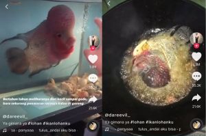 Viral Pria Goreng Ikan Louhan Koleksinya, Aksinya Ditonton 12 Juta Kali