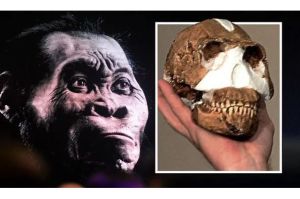 Ilmuwan Temukan Fosil Spesies Tertua Sebelum Homo Sapiens Menghuni Bumi